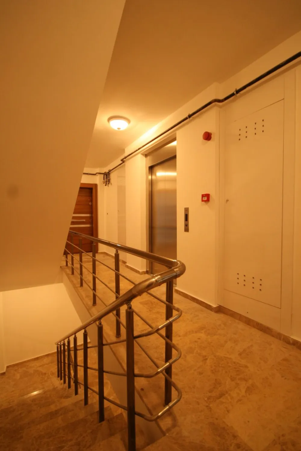 Elit Garden - 10